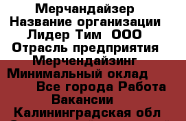 Мерчандайзер › Название организации ­ Лидер Тим, ООО › Отрасль предприятия ­ Мерчендайзинг › Минимальный оклад ­ 23 000 - Все города Работа » Вакансии   . Калининградская обл.,Светловский городской округ 